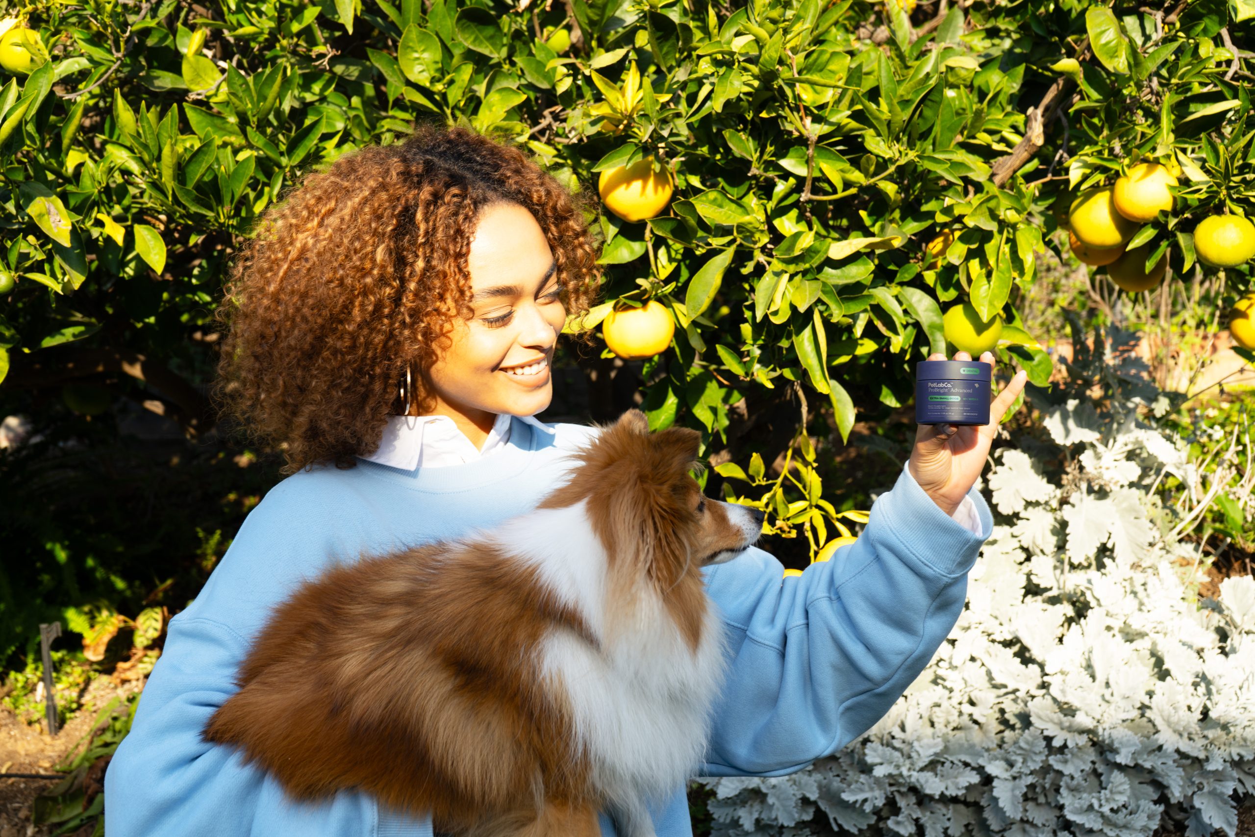 Kaip PetLabCo. ProBright® Advanced palaiko šunų dantų sveikatą – Dogster