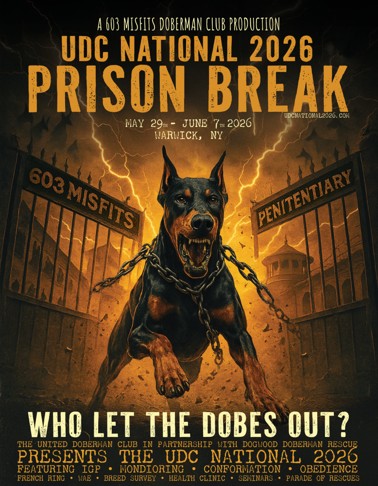 Dobermano entuziastai renkasi į 2026 m. UDC piliečių konkursą Niujorke – Dogster